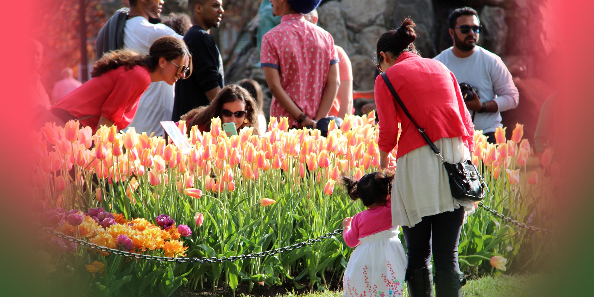 People enjoying the flowers