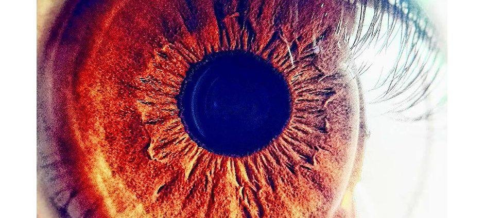 retina health