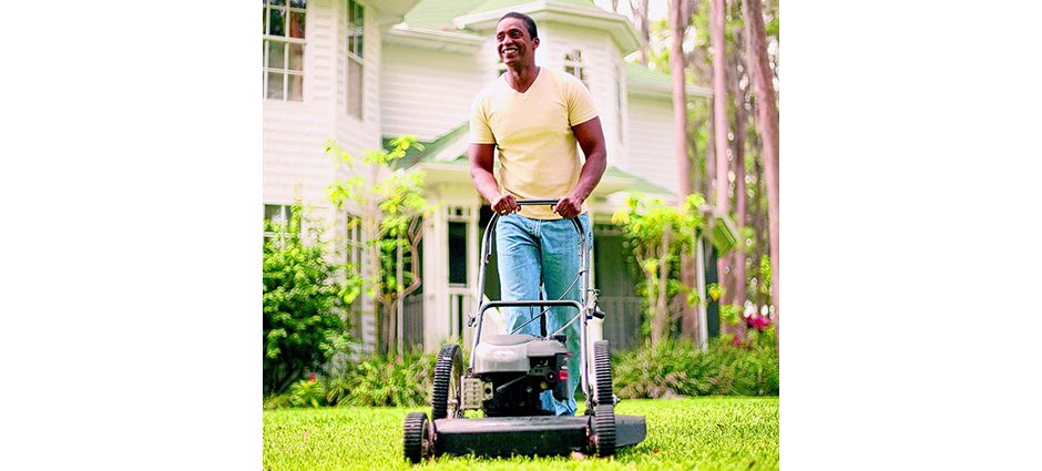 Yard Safety