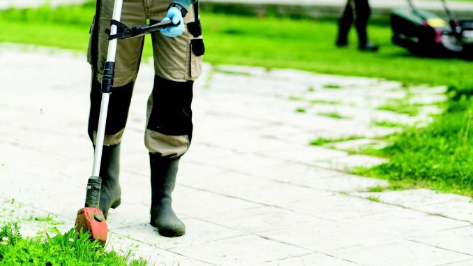 Yard Safety 2024