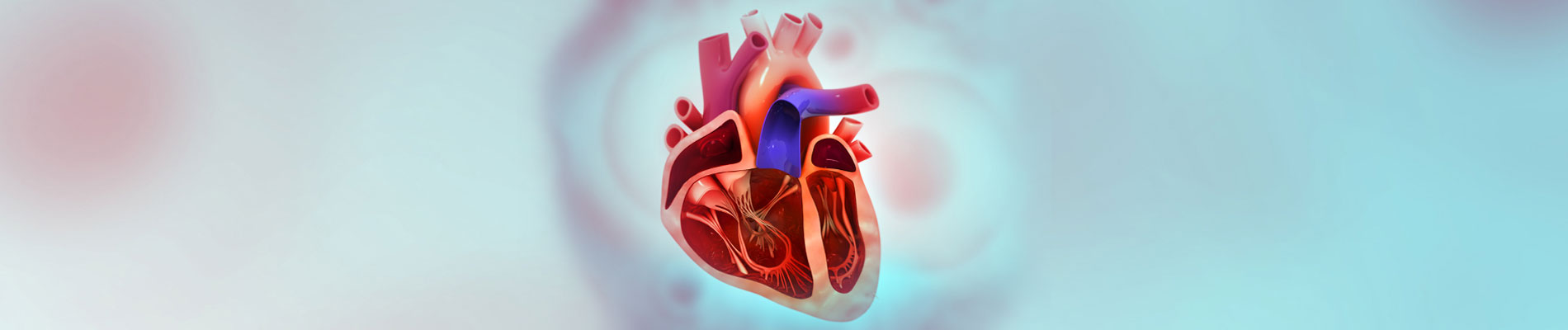 Heart Valve Disease