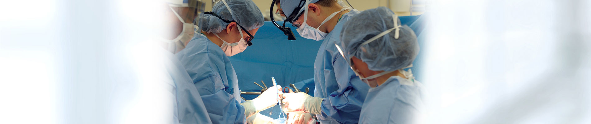 Liver and Pancreas Banner