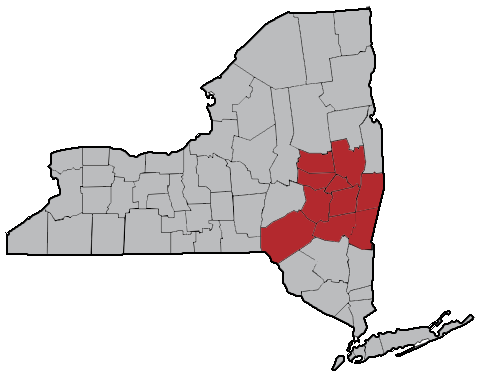 Map of New York State highlighting the listed counties in red