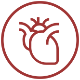 Heart Health Icon