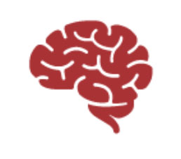 brain icon